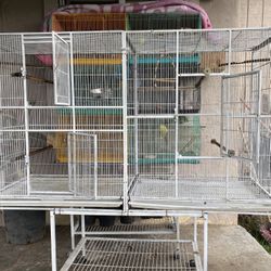 Double Bird Cage