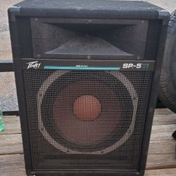 Peavey SP-5TI SPEAKER $100 OBO