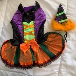 Halloween Costume For Dog, Witch. 