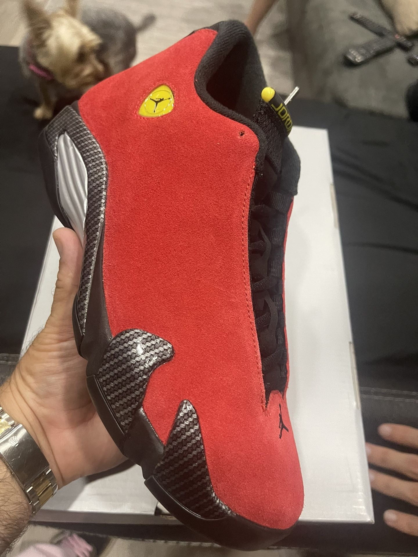 Jordan 14 Ferrari Size 8.5 DS