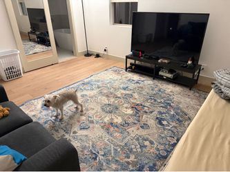 Rug