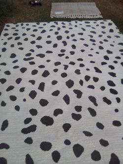 Area Rug