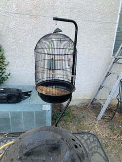 Bird cage with stand