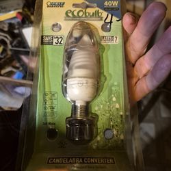 Two Energy Saving Bulbs