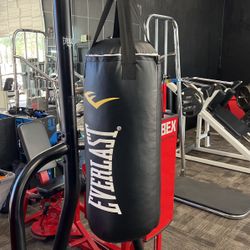 Punching Bag On Stand 