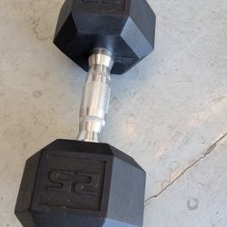 25 Pound Rubber Weight