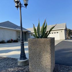 Selling Large Cement / Concrete Planter Pots  3 ft Tall  2 ft wide 