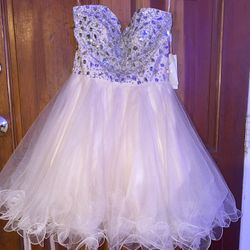 Anny Lee Tutu Dress