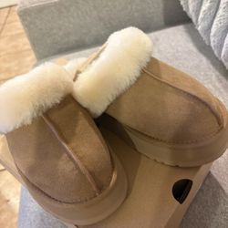 Uggs 