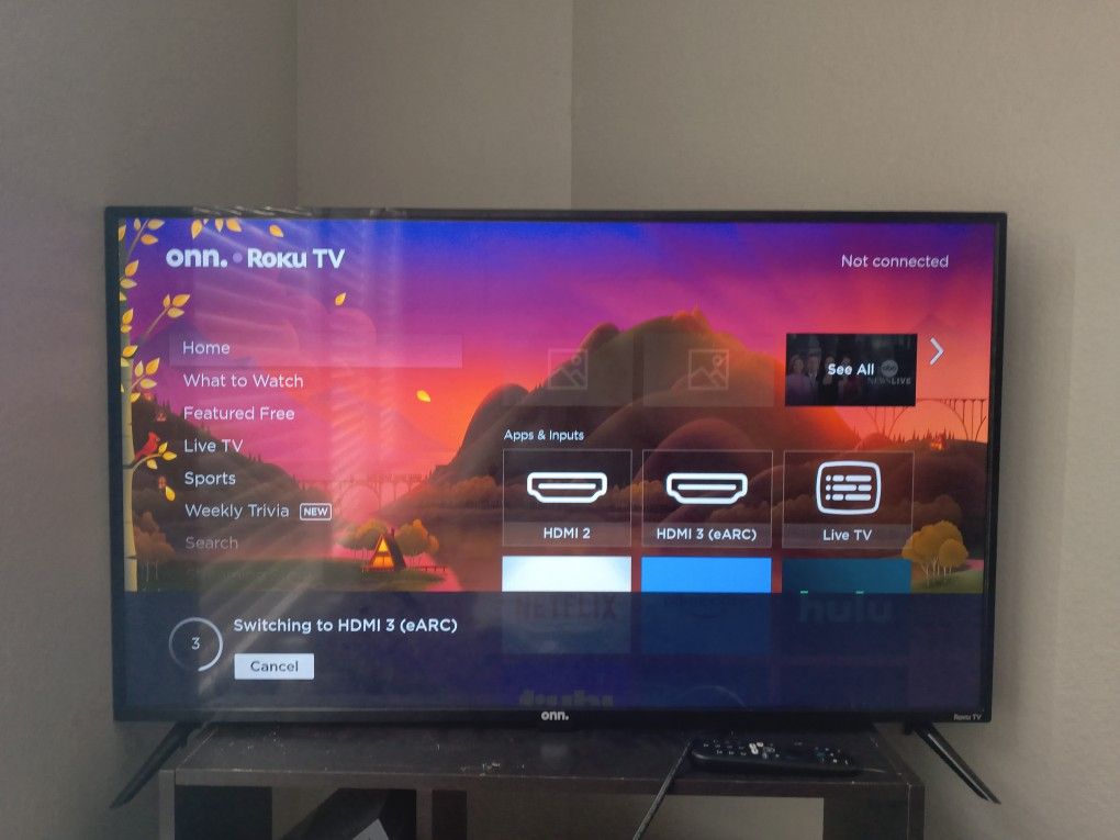 Roku TV 
