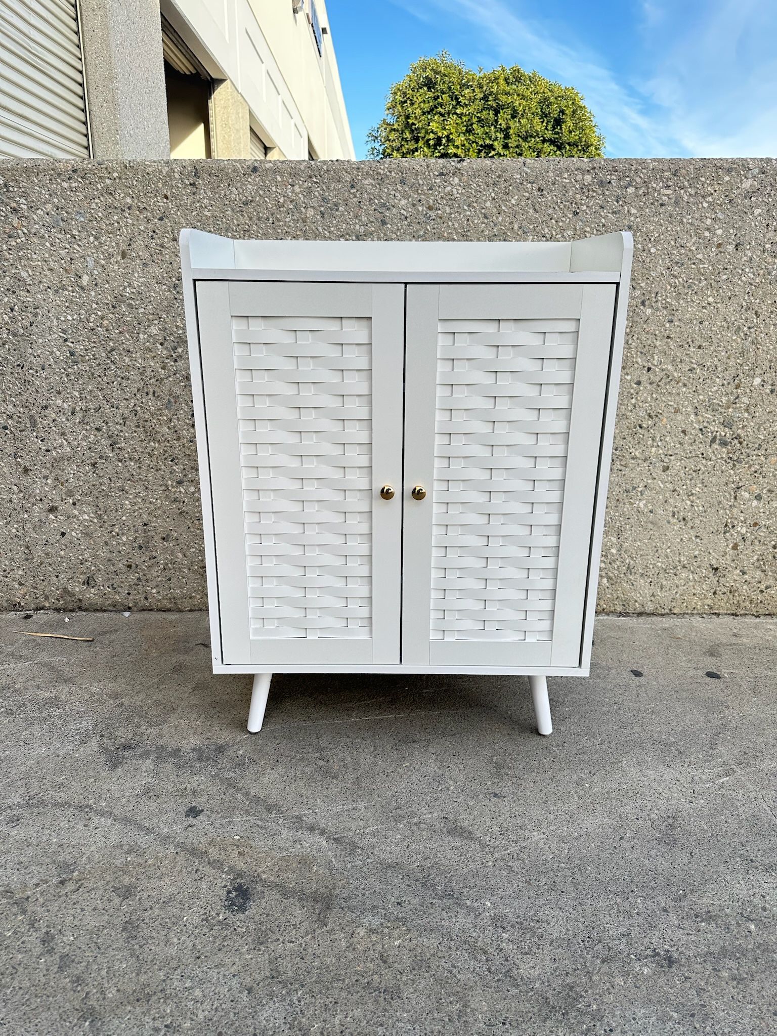 Double Door Entry Way Shoe Cabinet Storage Shelf