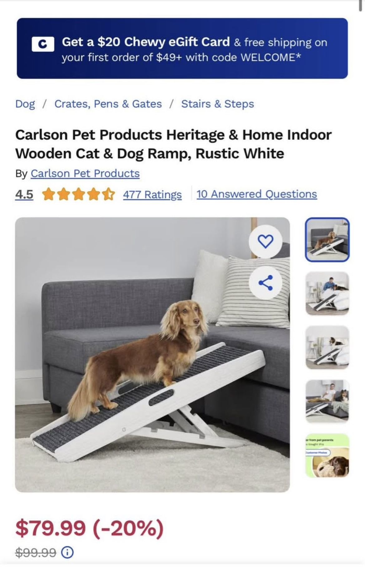 Dog Ramp