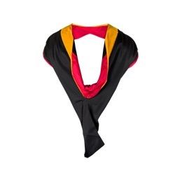 SDSU Big Data Analytics Masters Hood