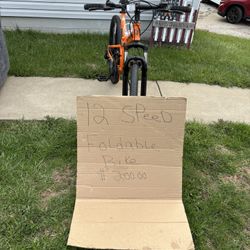Foldable 12speed Bicycle 