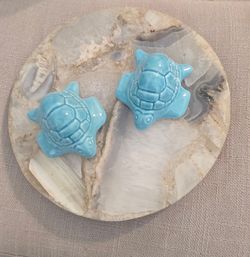 Turquoise turtle  toilet bowl cap covers