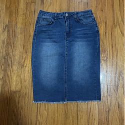 Mini Skirt Never Worn Brand New