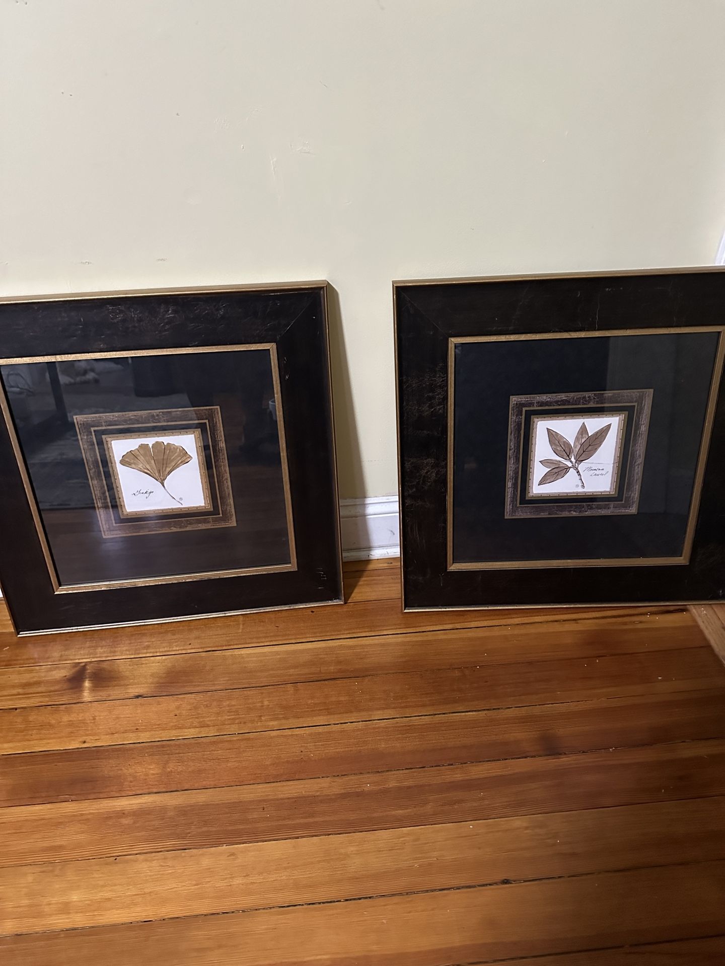 Picture Frame