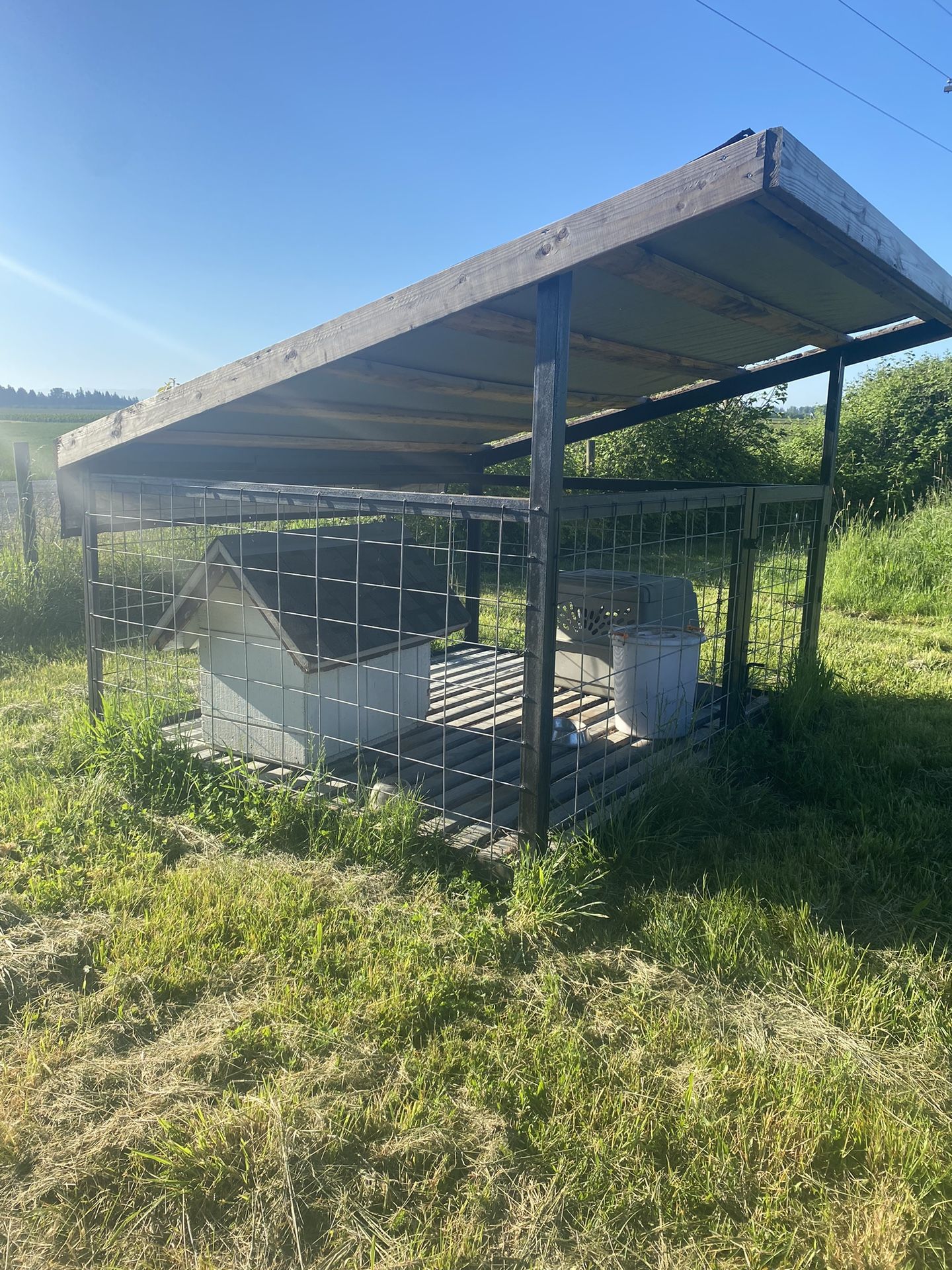 Steel Dog Kennel