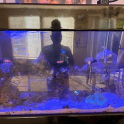 100 Gallon Fish tank