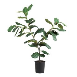 World Market, Faux Fiddle Leaf Fig Tree 57 Inch