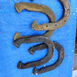 Metal Horse Shoes 
