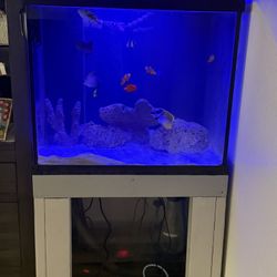 60 Gallon  Cube Fish Tank