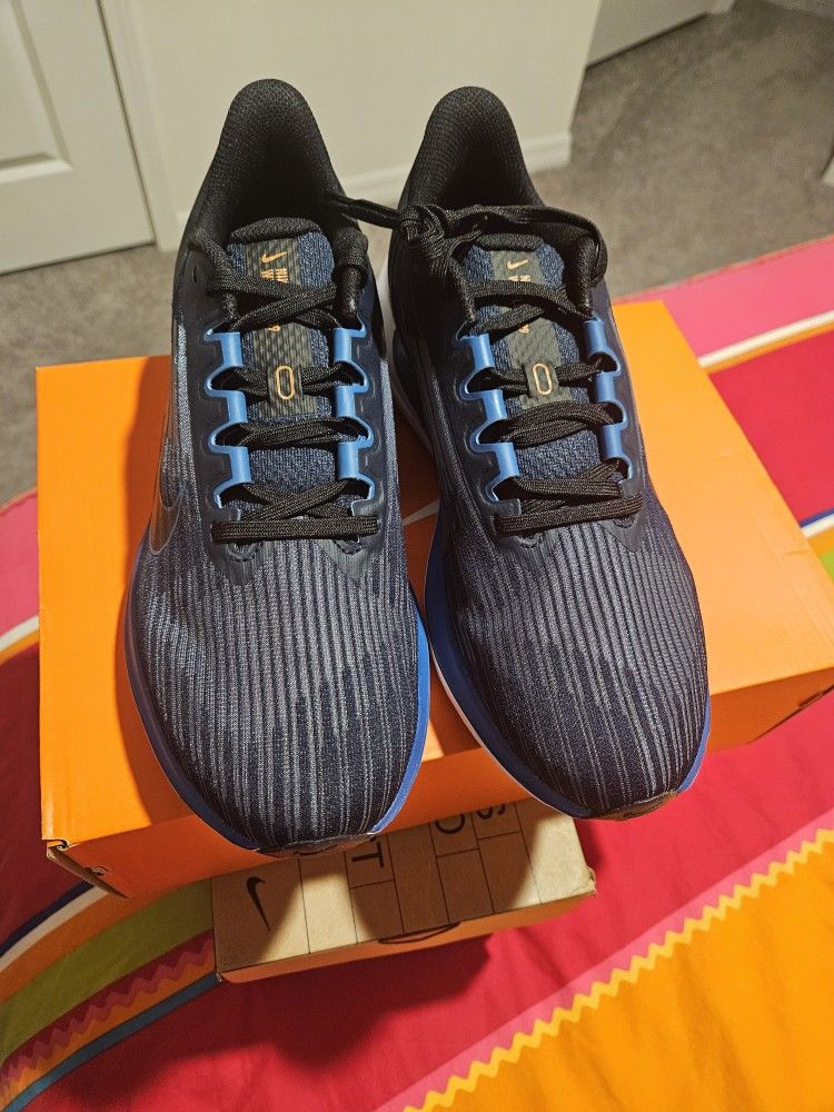 Nike Air Winflo 9 Size 9.5