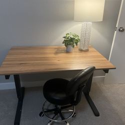 Standing Desk (adj.) & Chair 