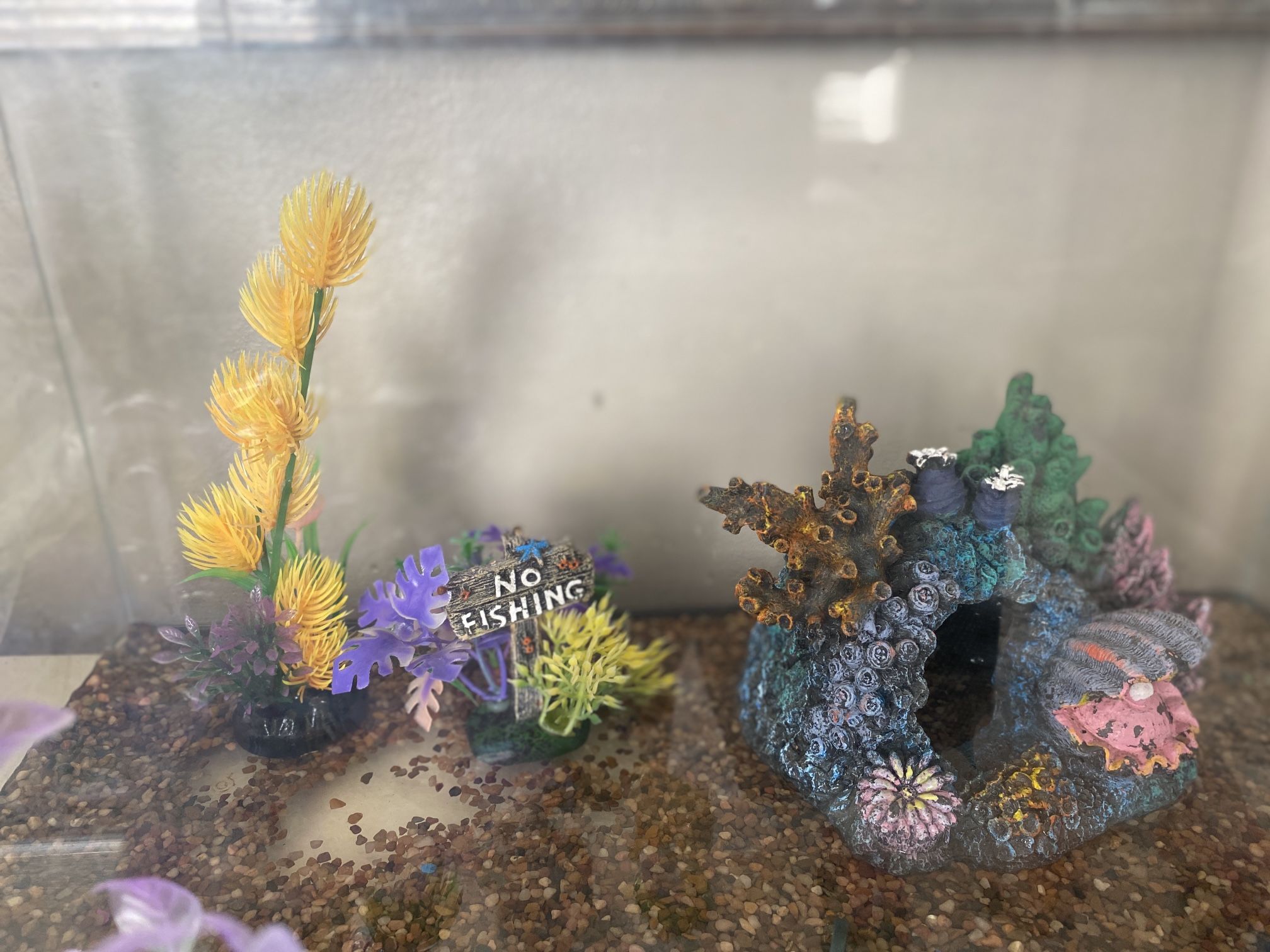 Ten Gallon Aquarium Fish Tank With Supplies 