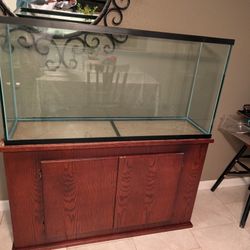 Brand new 60-gallon fish tank