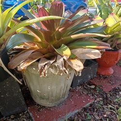 Massive Fiberglass Garden Pot