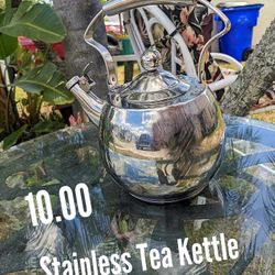 Stainless Steel Tea Kettle