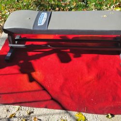 IRON STRENGTH  FLAT BENCH  WITH DUMBBELL RAIL  UNDERNEATH 
EXCELLENT CONDITION 
11525 S HALSTED DUNKIN DONUTS 
30$   CASH ONLY AS IS 