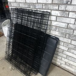 Dog Cages