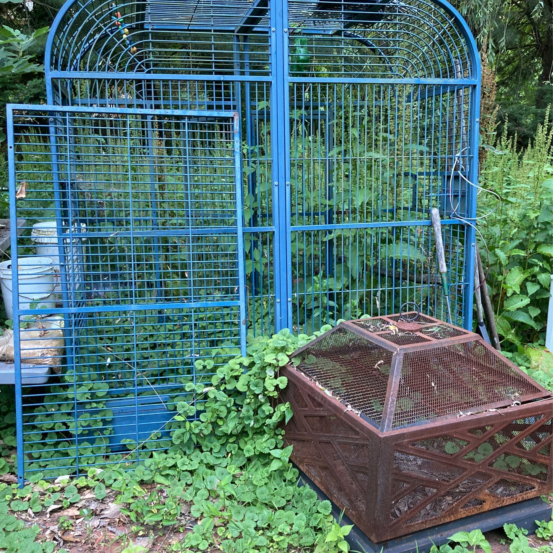Big bird cage