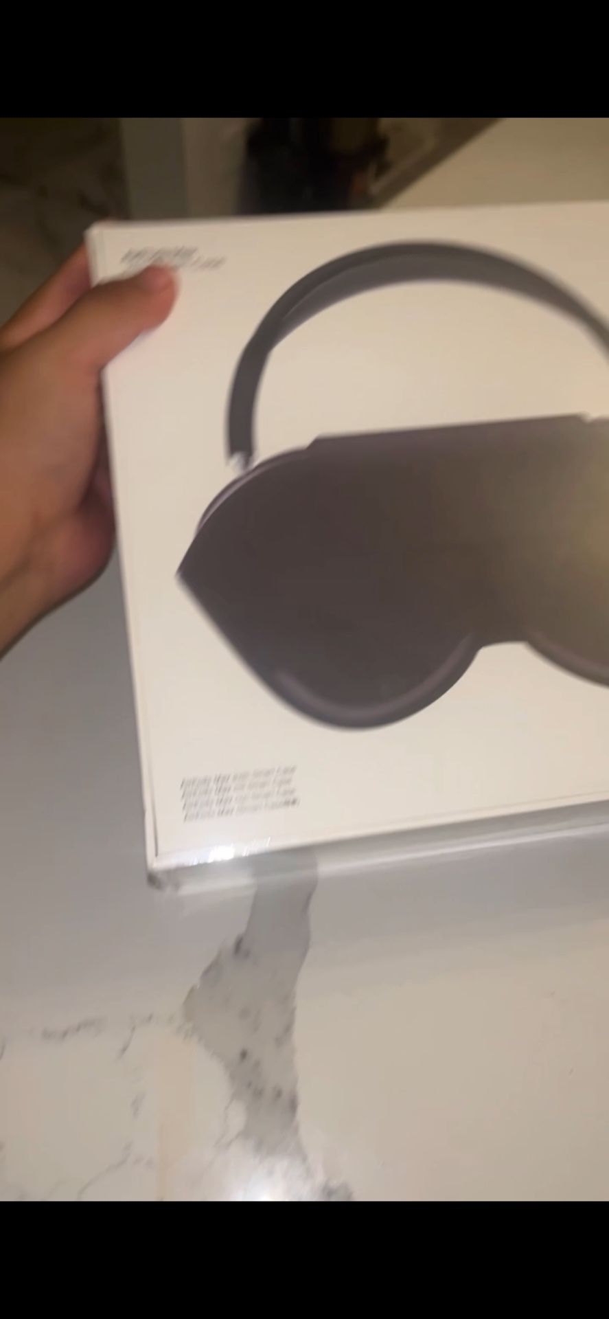 Apple Air Pod Maxes