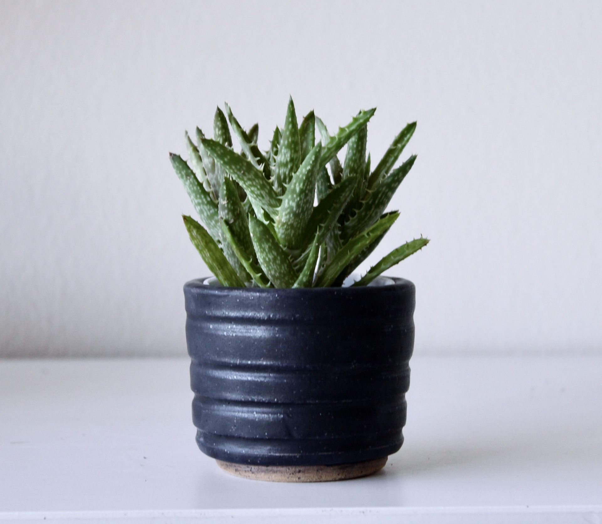 Black Succulent Pot | Handmade Ceramic Planter
