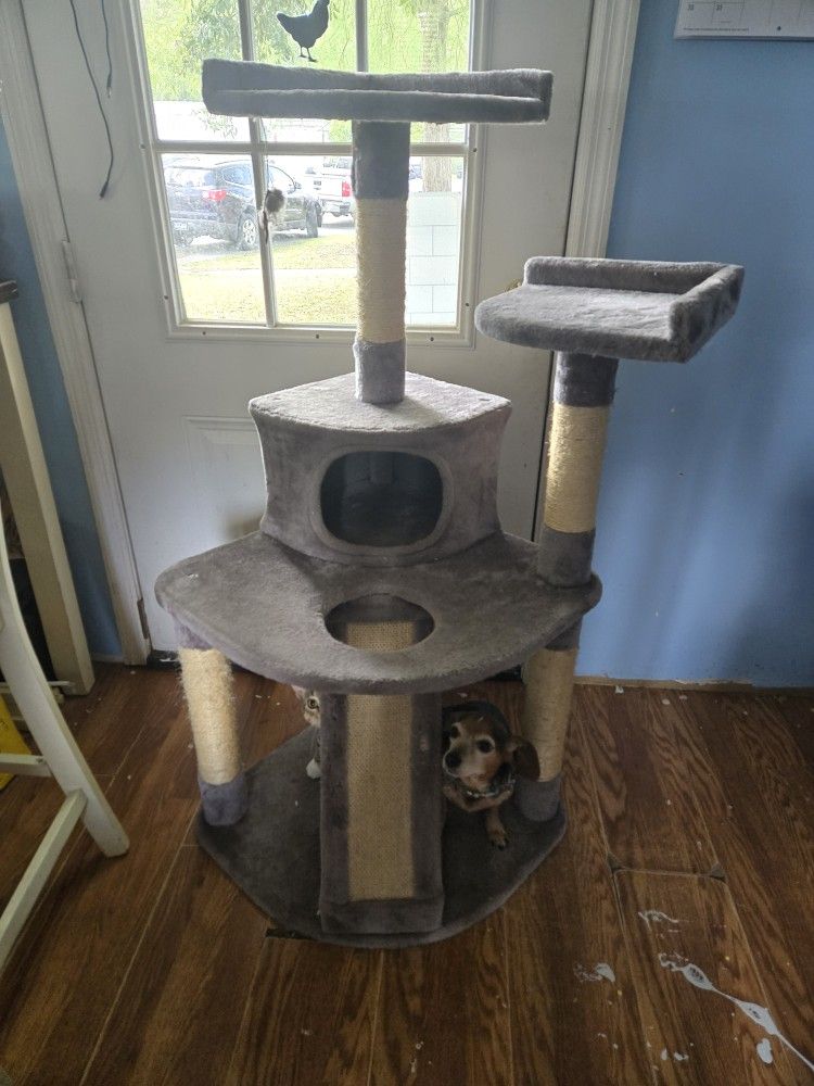 Cat Tower