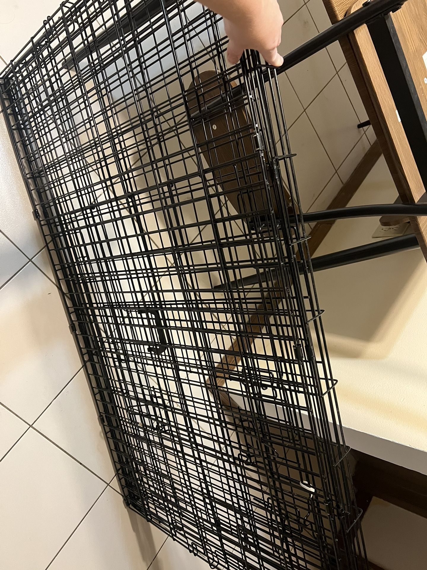 Dog Cage 