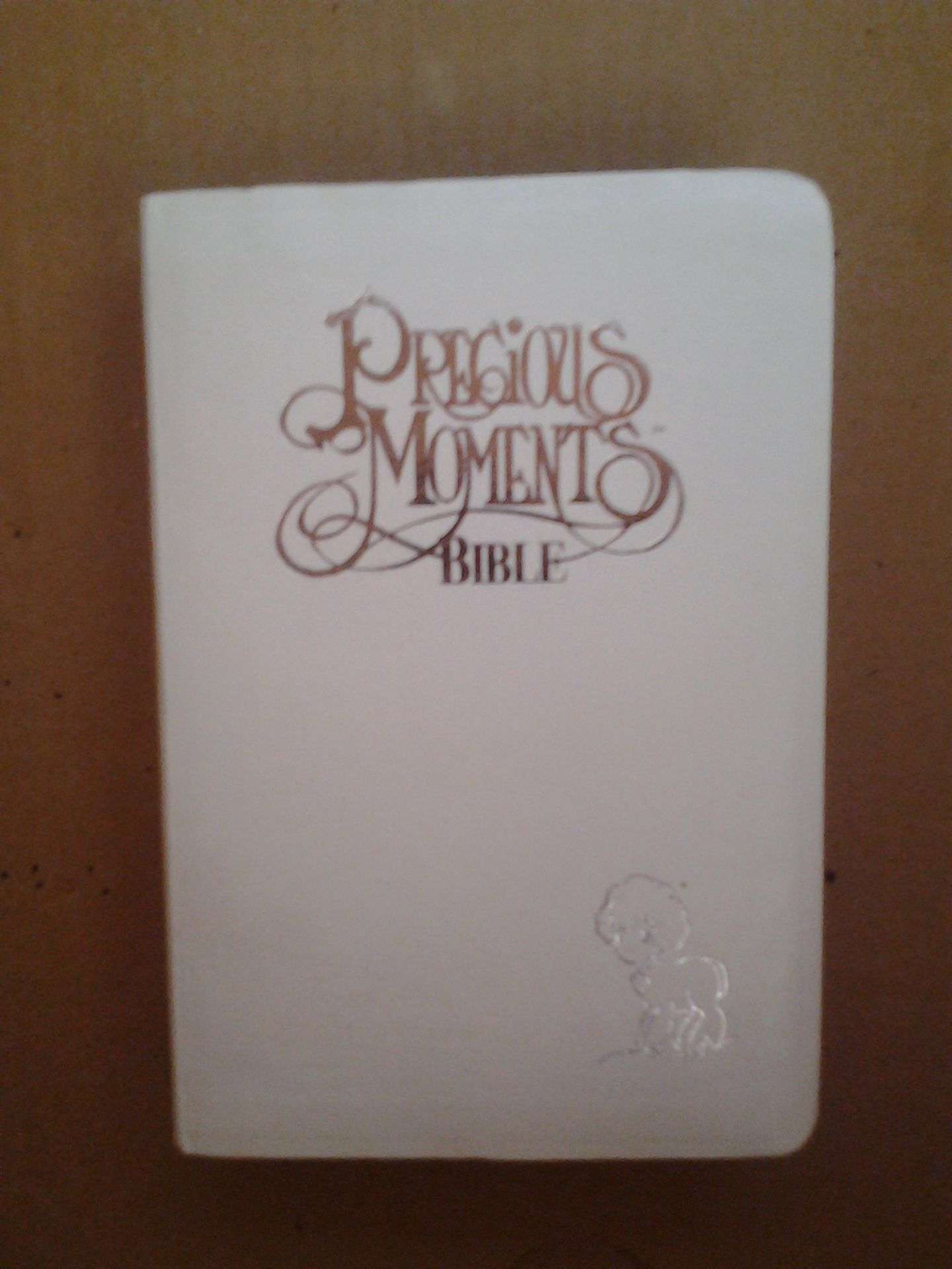 Precious Moments Bible