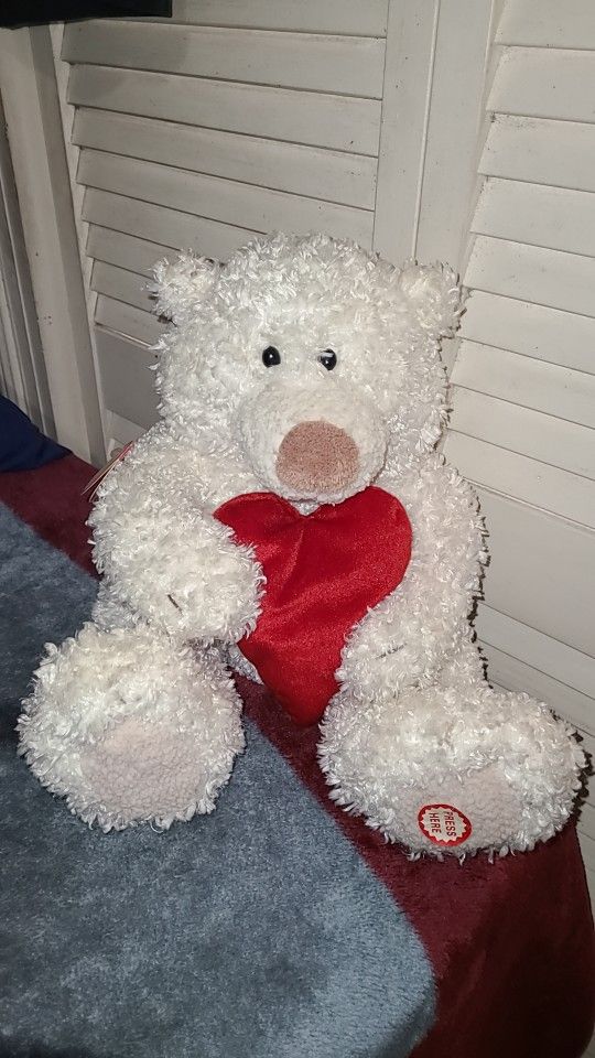 Teddy Bear With Audio