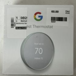 Google Nest # 45297