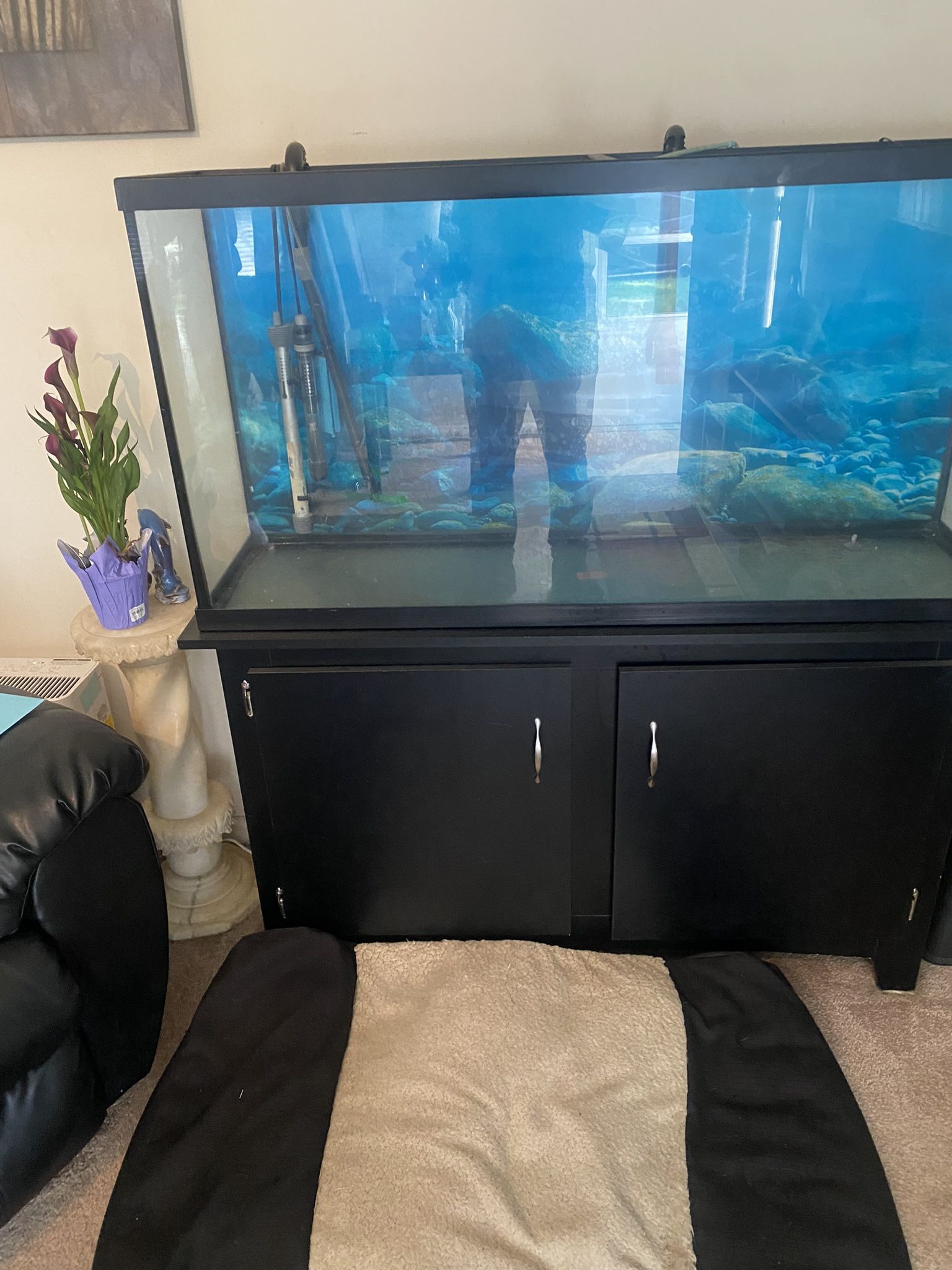 55 Gallon Fish Tank
