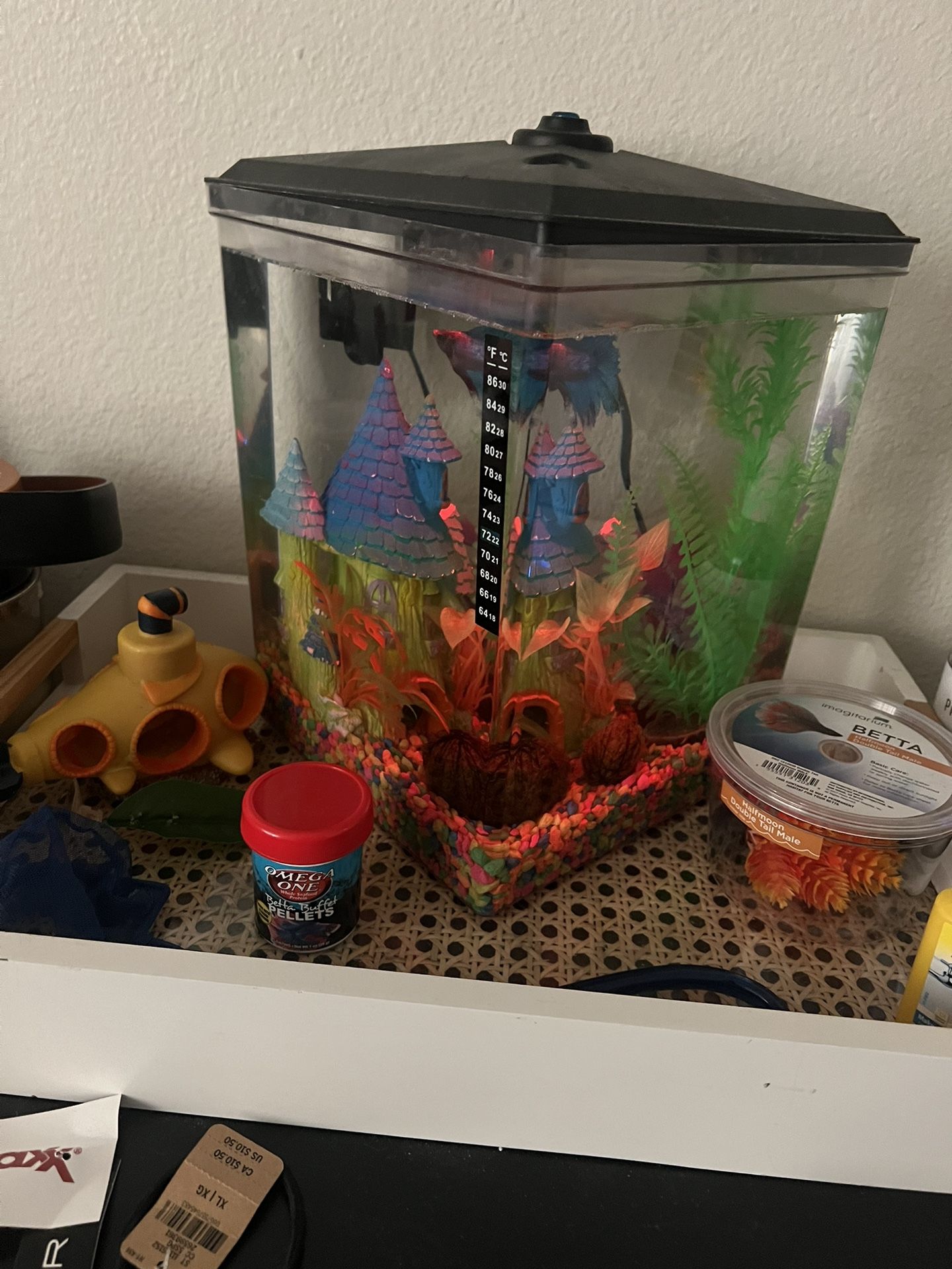 Beta Fish