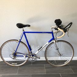 schwinn peloton 853