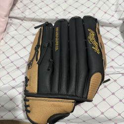 Rawlings 14 Inch Glove