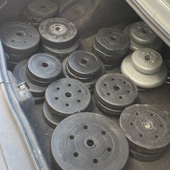 301 Lbs Of 1 Inch Plates For Standard Barbell 