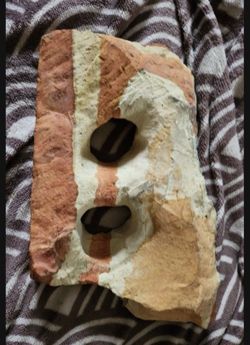 Fish Or Reptile Rock