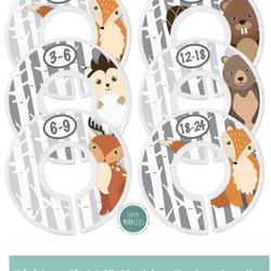 Little Miracles Baby Closet Size - Dividers Like New