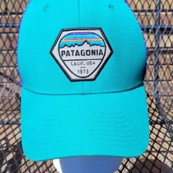 Patagonia Teal And Purple Trucker Snap Back